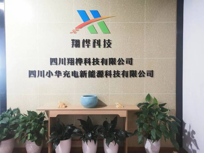 程建代表下的信息系統集成服務 數字化時代的核心引擎